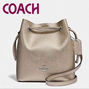 🆕NWT COACH Lena Crossbody in Silver/Patinum